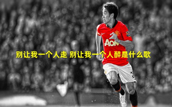 别让我一个人走 别让我一个人醉是什么歌